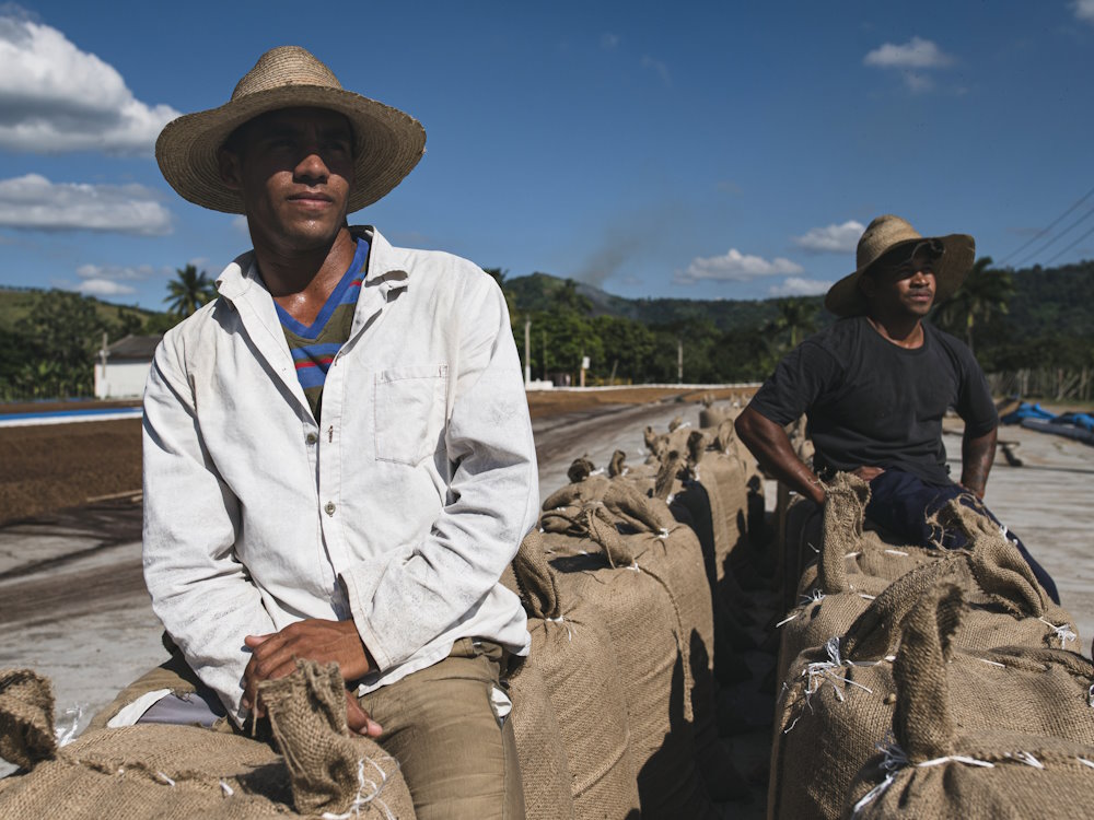 Fermieri cubanezi cu sacii de cafea recoltată — o tradiție seculară care supraviețuiește în ciuda tuturor obstacolelor