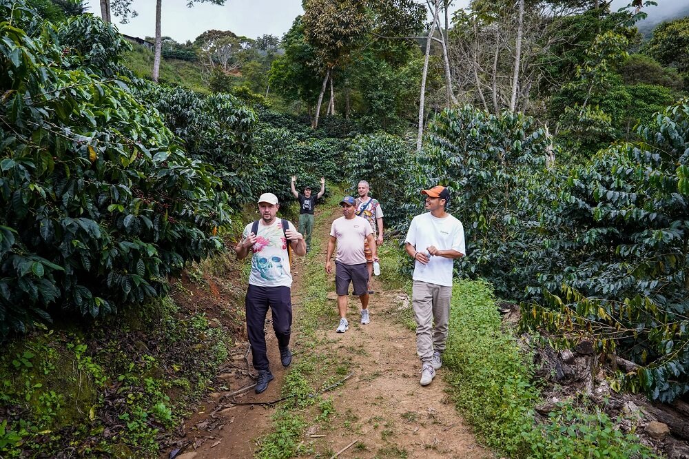 Drum prin plantațiile de cafea din munții Costaricăi — o călătorie prin inima producției de specialty