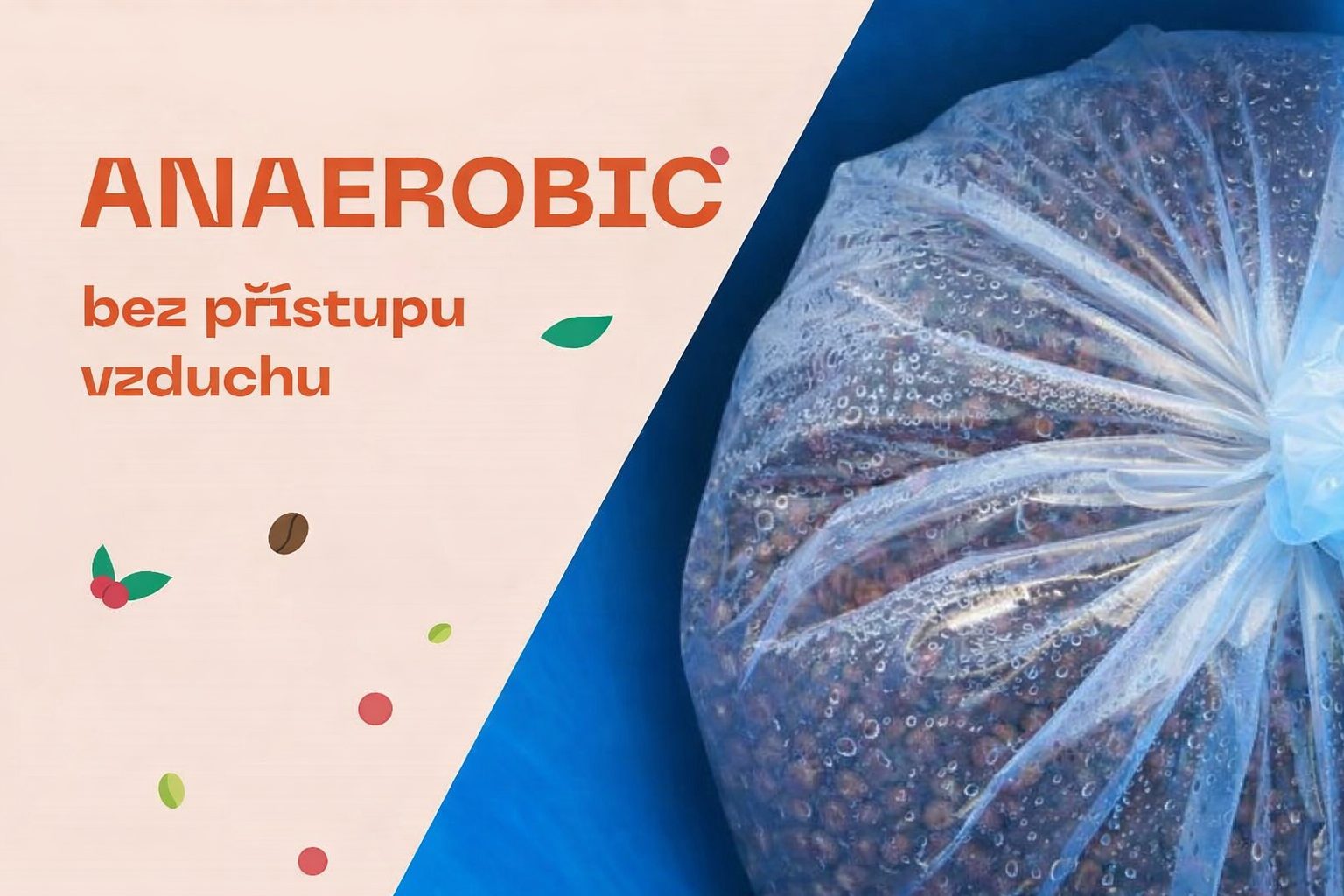 Fermentarea anaerobă — recipiente sigilate în care microbiomul creează profiluri aromatice unice
