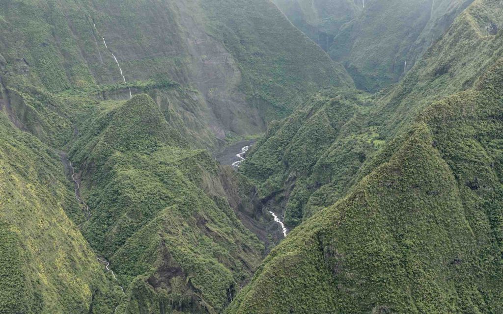 Versanții abrupți acoperiți de vegetație tropicală — habitatul natural al soiurilor rare de cafea