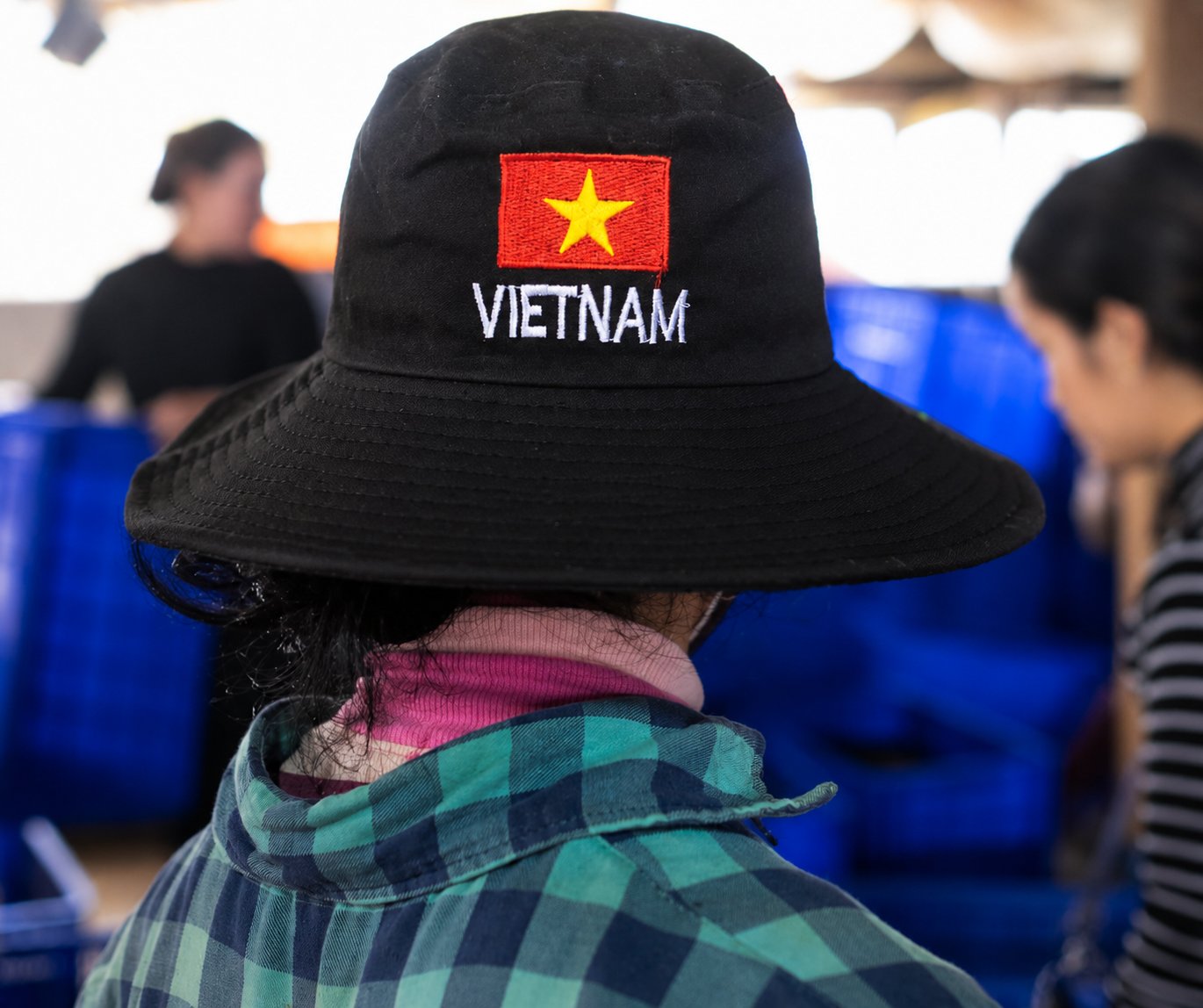 Vietnam și cafeaua: istorie, cultivare, cultură