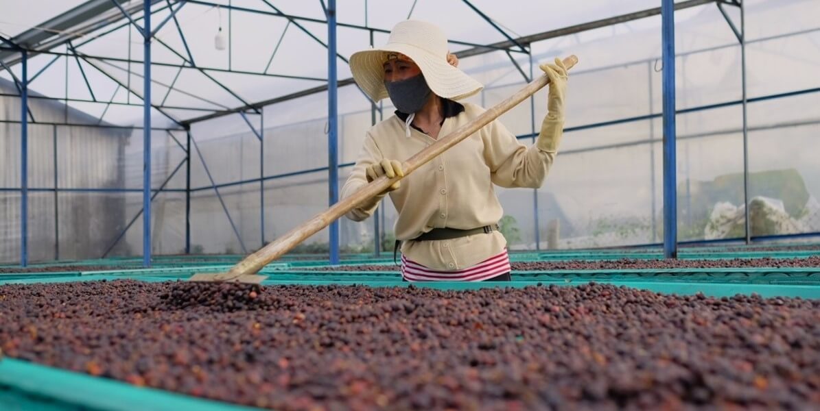 O fermă excepțională în munții Lang Biang, Vietnam