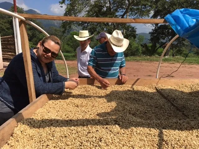 Honduras Santa Rosa – prăjire închisă foto 3