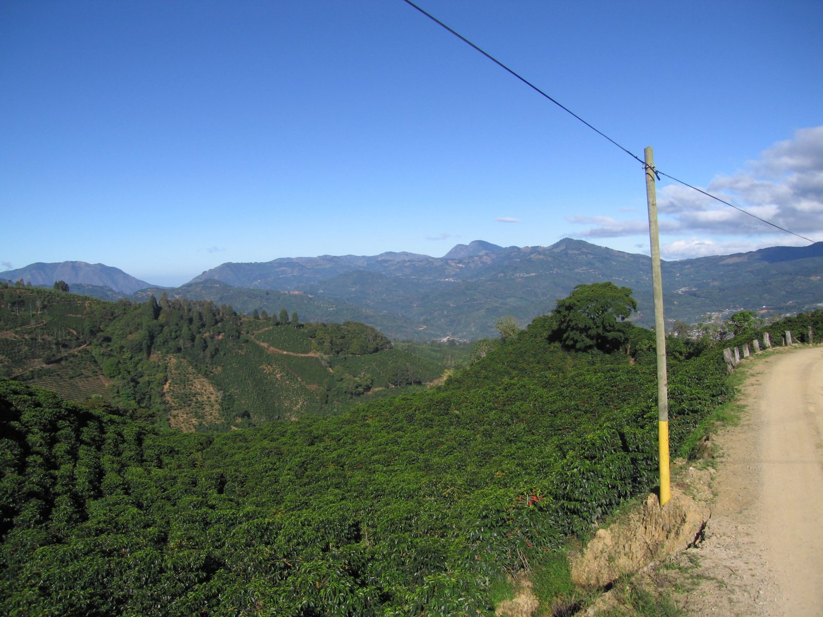 Costa Rica Tarrazú – prăjire închisă foto 4