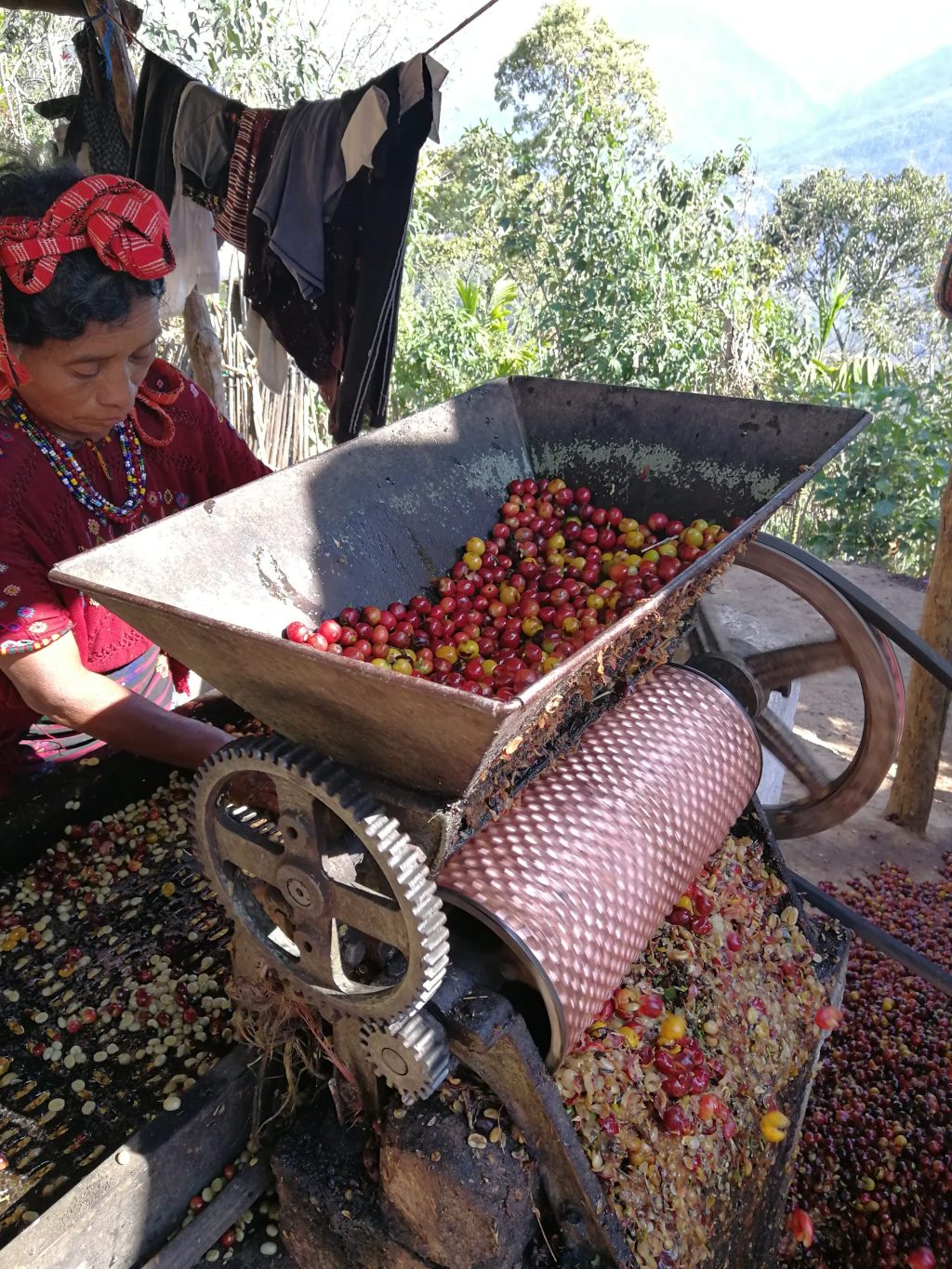 Guatemala Huehuetenango – prăjire închisă foto 3